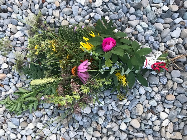 Ende April, und Anfang Juli
                                                    WELCH EIN SCHATZ FÜR'S WOHLBEFINDEN